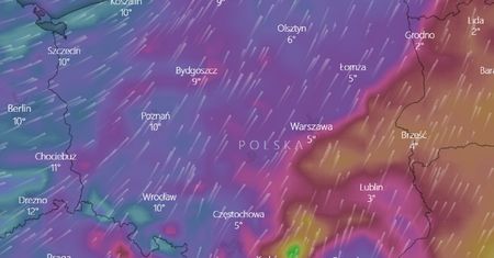 Pogoda na czwartek 6 lutego. Ostrzeżenia IMGW dla pięciu województw. W weekend wichury