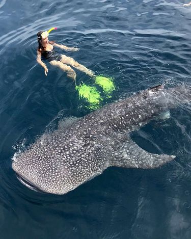 Kinga Rusin pływa z rekinami w Indonezji