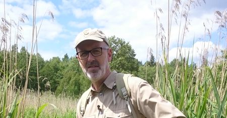 Leśnik i celebryta opowiada o tym, jak wygląda "sekretne życie drzew". Rozmowa z Peterem Wohllebenem