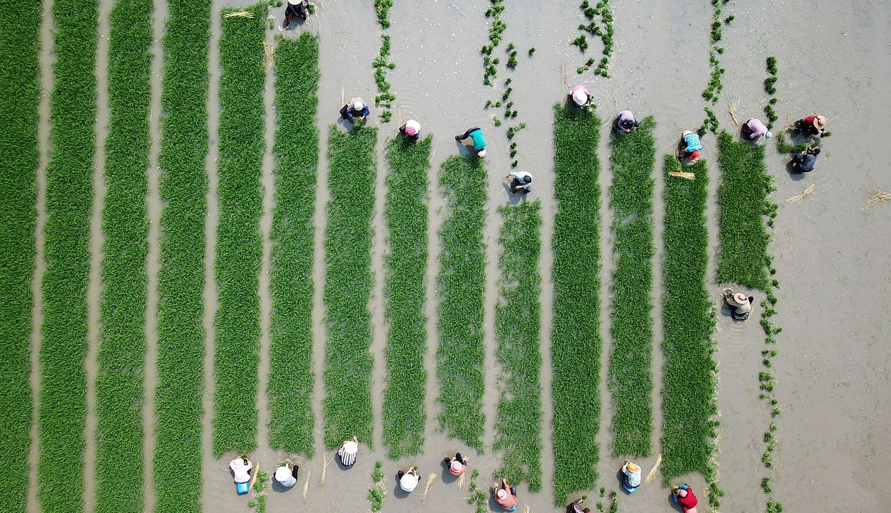 Co czytać w weekend? WP Magazyn oczywiście