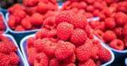 Pojawiły się pierwsze polskie maliny. Cena przyprawia o zawrót głowy