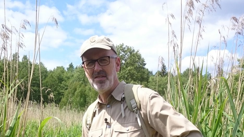 Peter Wohlleben - autor książki "Sekretne życie drzew"