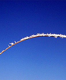 Biała i mroźna nawałnica