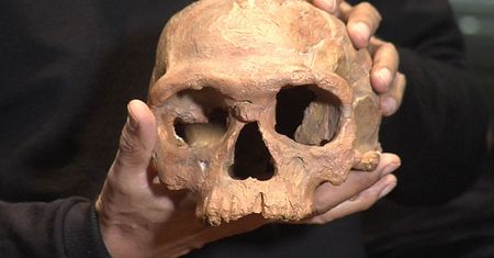 Znaleźli najstarsze kości homo sapiens. To zmienia wiedzę o człowieku