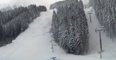 Słowacy celowo wywołali lawinę. Jest film z jej zejścia