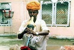 Zaklinacze węży szantażują