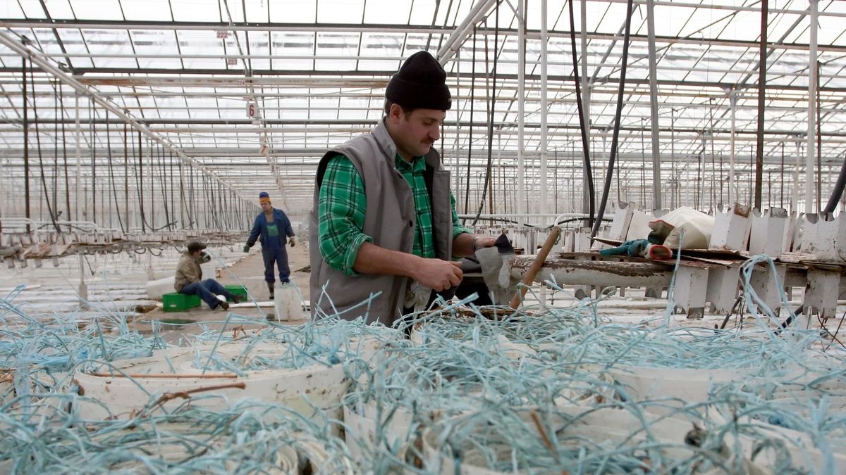 Blisko 40 proc. Ukraińców traktuje Polskę jako tymczasowe miejsce zamieszkania