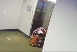 Wsiadła do windy, jej pies nie zdążył. Dramatyczne nagranie