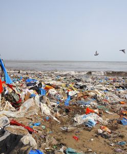 Gdzie utykać śmieci? Polska nie chce już brytyjskich odpadów