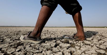 Rekordowe upały w Indiach. Temperatura przekroczyła już 50 stopni Celsjusza