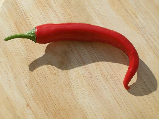 Papryka chilli