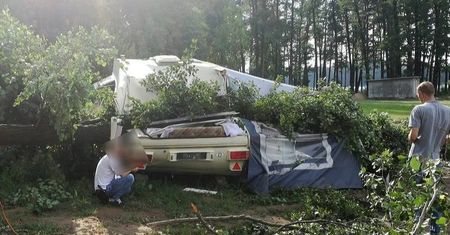Nie żyje 12-latek, którego na kempingu przygniotło drzewo. Wszczęto śledztwo