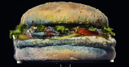 Burger King wystartował z nową reklamą. Chwali się pleśniejącym Whoopperem [Wideo]
