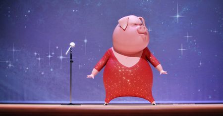 Sing - zdjęcia