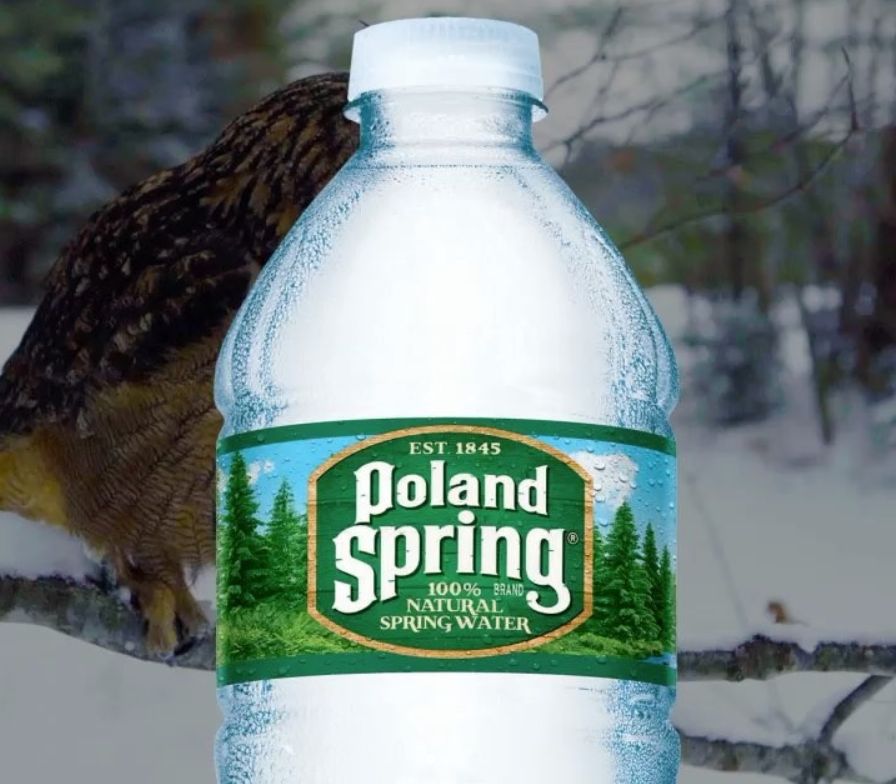 Afera wokół Poland Spring w Stanach Zjednoczonych. "To jedno wielkie oszustwo"