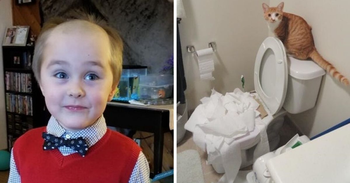 17 Kids and Pets That Really Messed Around. However, Their Sweet Reaction Let Them Get Away
