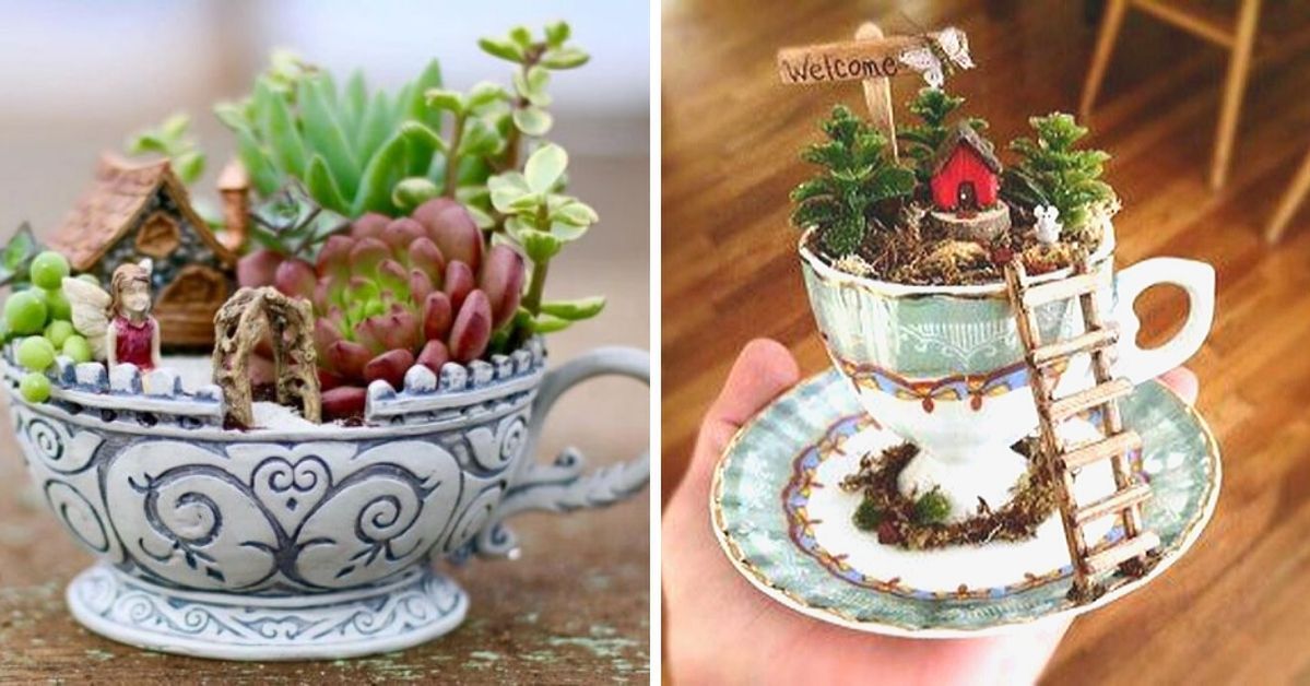 22 Wonderful Tiny Gardens. Marvelous Designs You Can Create in a... Cup