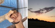 18 wyjątkowo ciekawych zdjęć otaczającej nas przyrody, które ukazują jej naturalną magię