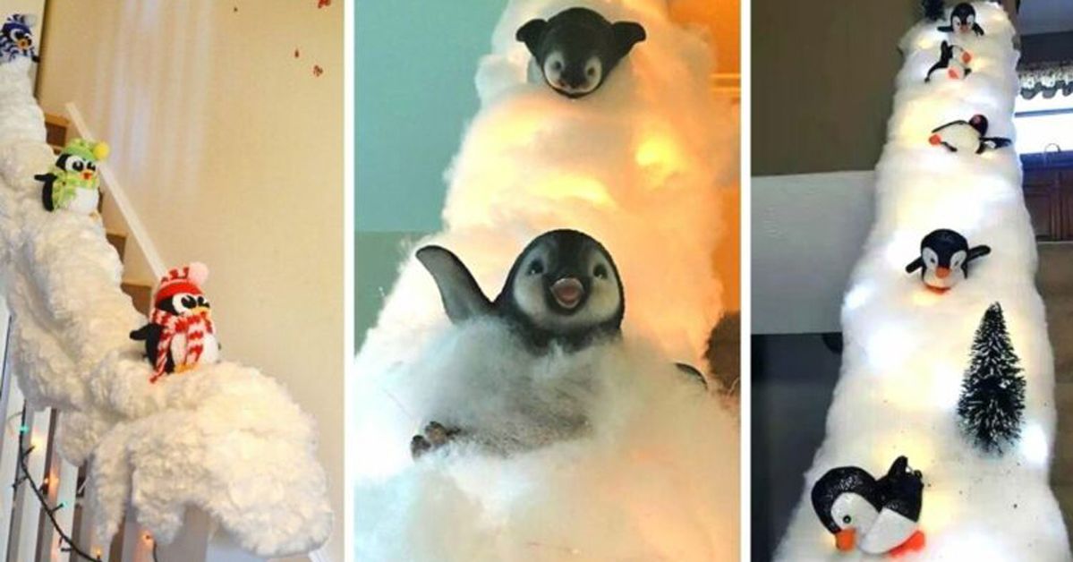Turn the Handrails in Your House Into Slides for Penguins. It’s Nothing but 'Frozen' in Your Hall!