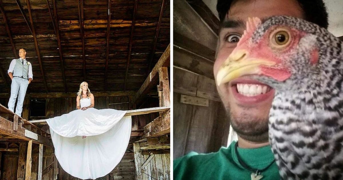23 Amazing Photos with Unusual Perspective. Photoshop Wouldn’t  Handle Them Better!