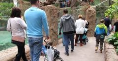Zoo we Wrocławiu z rekordową frekwencją. Pobiło Wawel i Wieliczkę