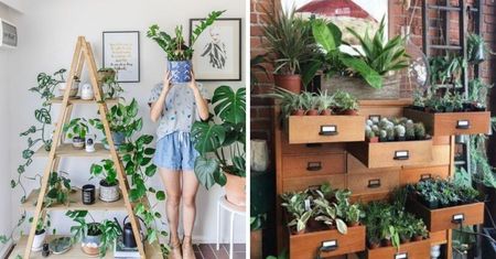 14 uroczych pomysłów na stojaki dla roślin DIY!
