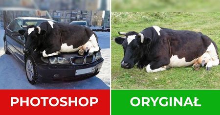 13 bardzo znanych zdjęć, które okazały się oszukanymi przeróbkami