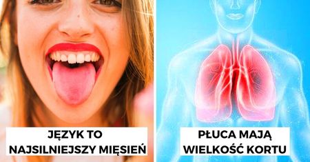 16 zaskakujących ciekawostek o ludzkim ciele, które wywołują zdziwienie nawet badaczy i lekarzy