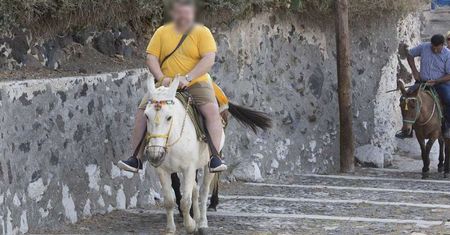 Osły na Santorini są kalekie przez otyłych turystów