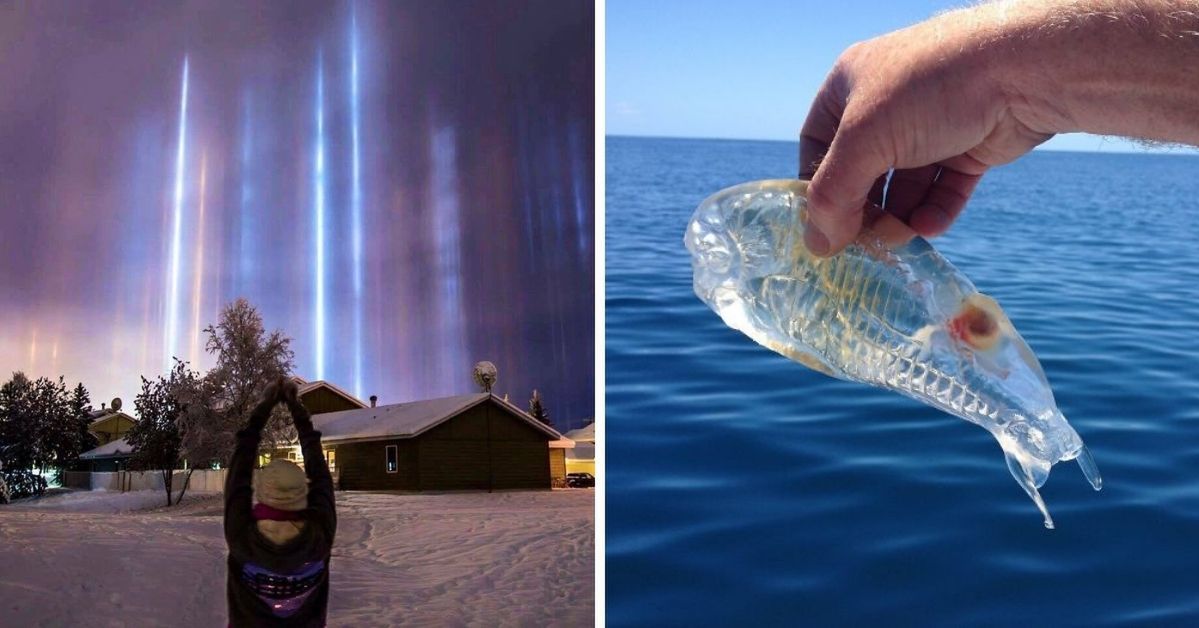 19 Pictures Out of This World. You Will Be Overwhelmed with How Bizarre Some Things Can Really Get