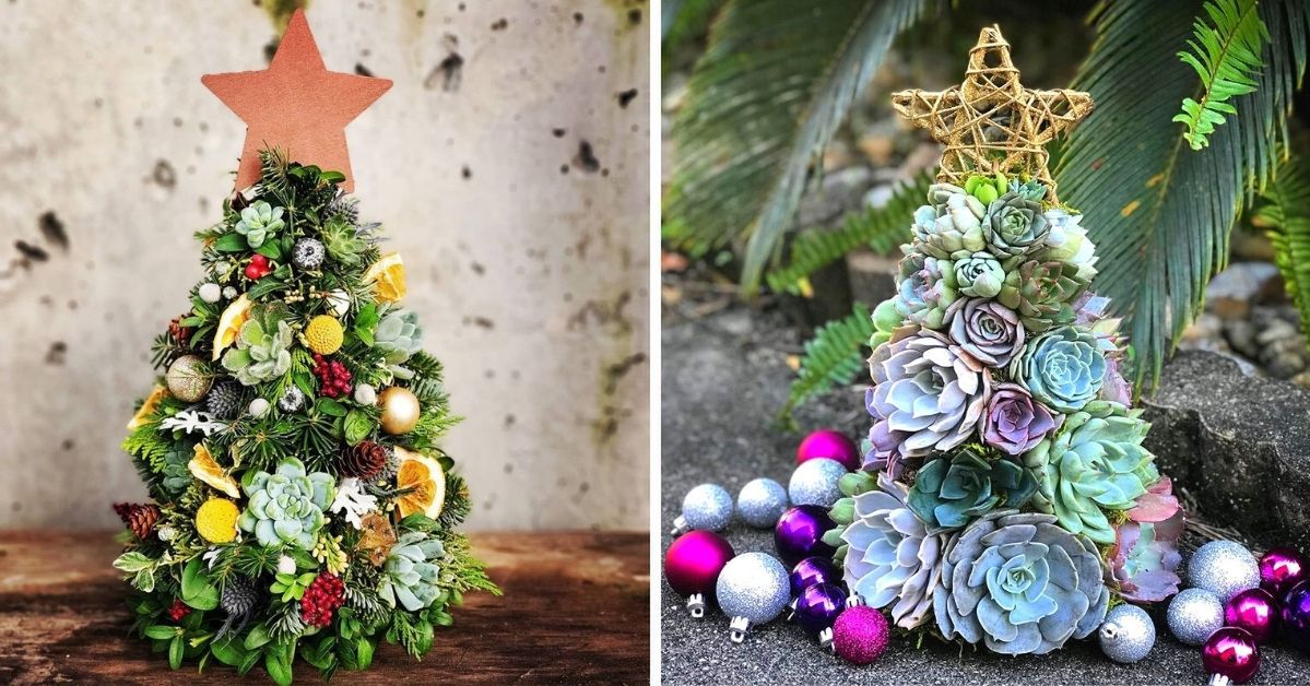 15 Succulent Christmas Trees to Replace the Traditional Spruce or Fir