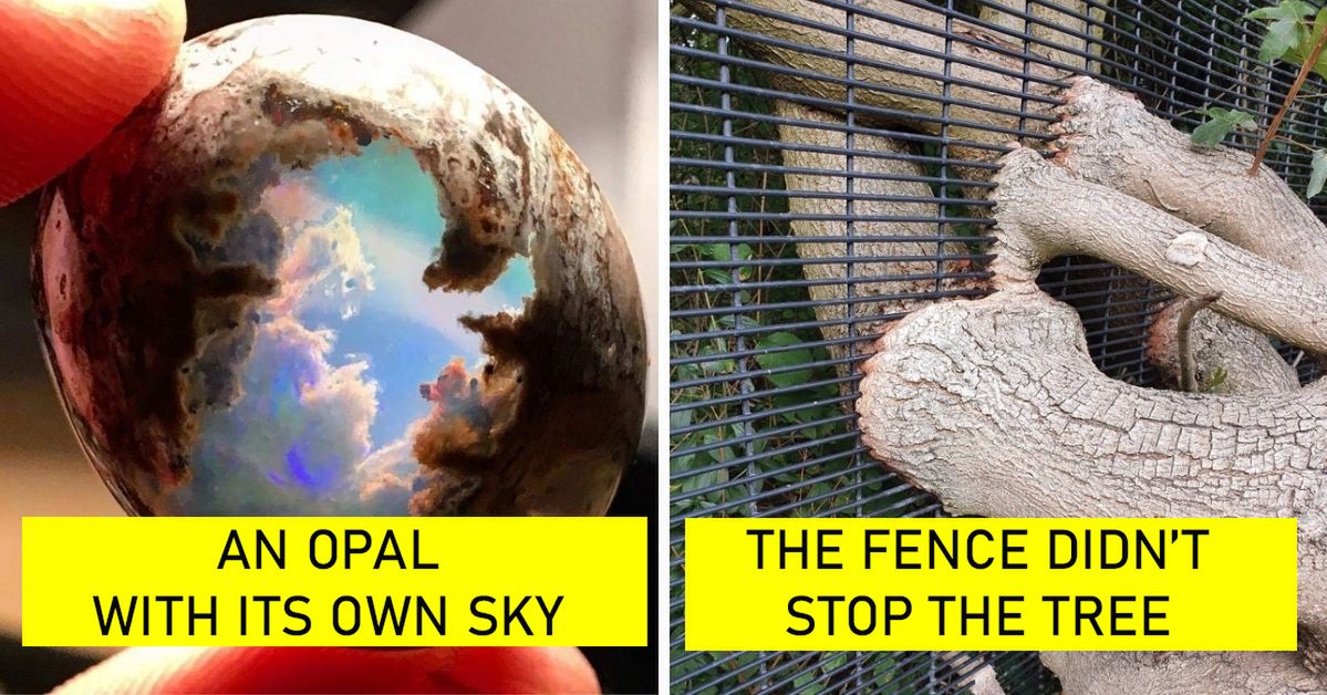 19 (Extra)Ordinary Things That Internet Users Have Spotted and Shared Online