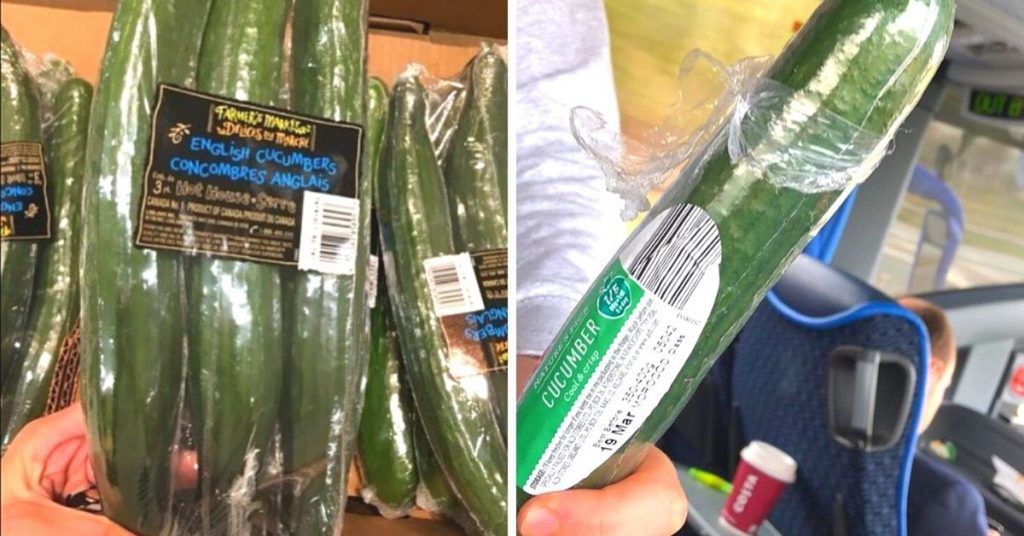 You Won’t Like the Reason Why Some Cucumbers Are Wrapped in Foil