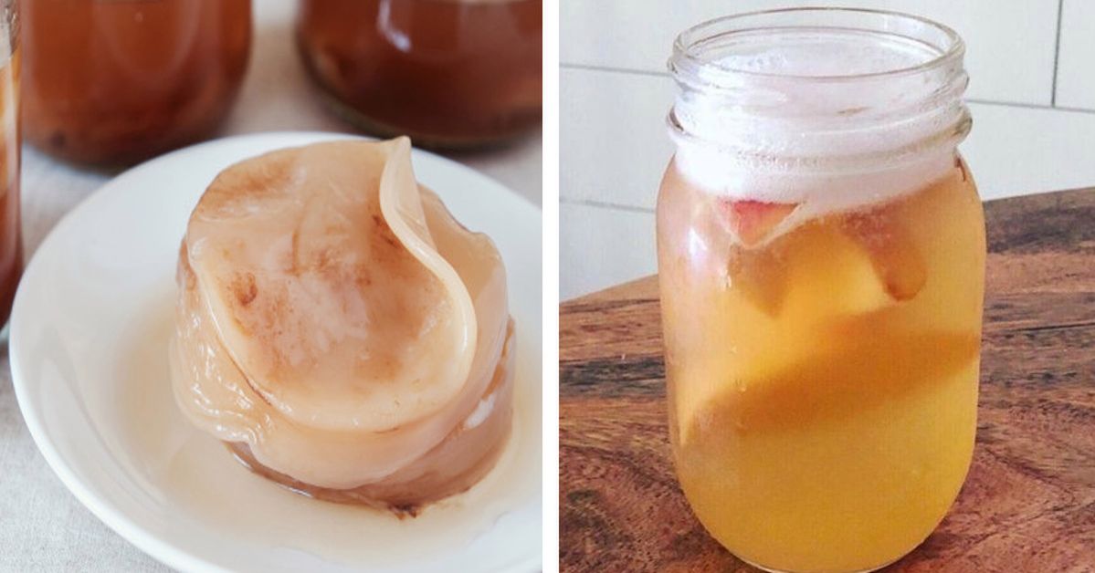 Kombucha Conquers the World! You Can Easily Prepare One of the Healthiest Teas at Home?