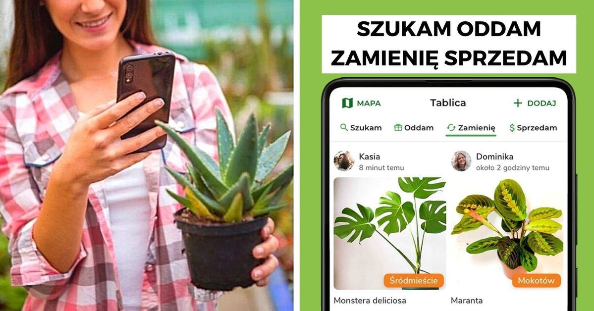 Plantswapp, czyli kwiaty na wirtualnym rynku. Pierwsza aplikacja dla wszystkich roślinoholików