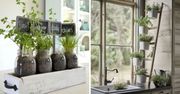 13 pomysłowych mini-ogrodów na zioła DIY! Pożyteczna i śliczna ozdoba kuchni