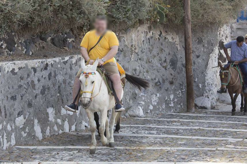 Turyści okaleczają osły