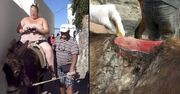 Lżejsze życie osłów na Santorini. Nie będą już wozić otyłych turystów