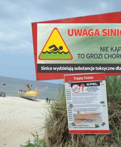 Sinice w Bałtyku. Sprawdź, listę zamkniętych plaż