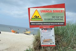 Sinice w Bałtyku. Sprawdź, listę zamkniętych plaż