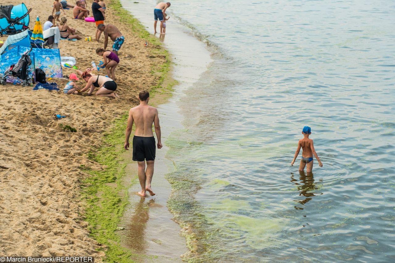 Sinice w Bałtyku. Sanepid zamyka kolejne kąpieliska