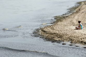 Sinice znów atakują. Właściciele pensjonatów boją się powtórki z zeszłego roku