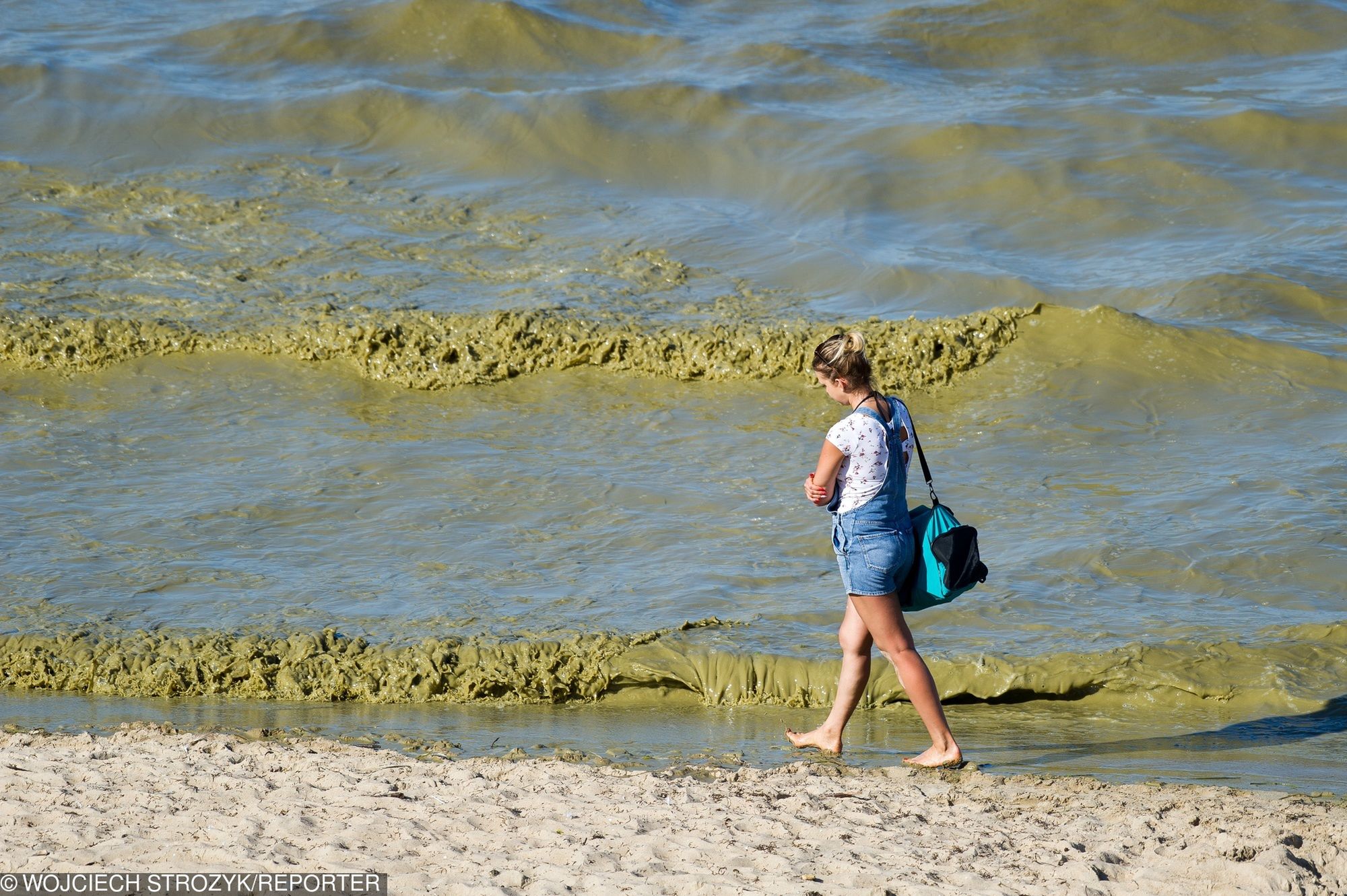 Sinice psuły humory plażowiczom. Jest już dobra wiadomość
