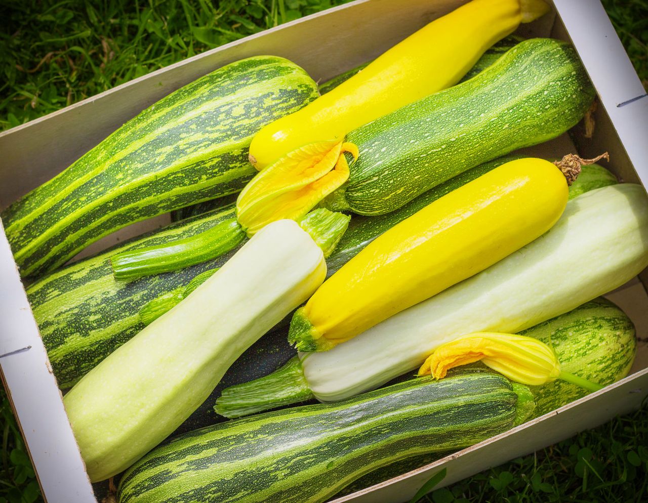 Cukinia na pięć sposobów. Wygoń nudę z kuchni