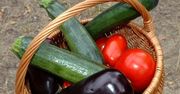Cukinia - cudo rodem z Włoch!