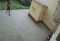 W "patriotycznych" ubraniach zniszczyli budynek uczelni