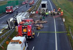 Wypadek tira na S6. Świnie wypadły na jezdnię