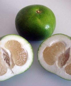 Grejpfrut zielony – kalorie, właściwości, zastosowanie w kuchni