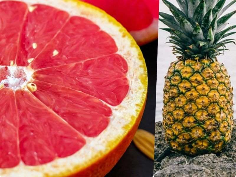 Ananas comosus to... Dopasujesz naukowe nazwy?