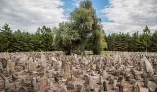 Nie będzie ekshumacji w byłym niemieckim obozie Treblinka I